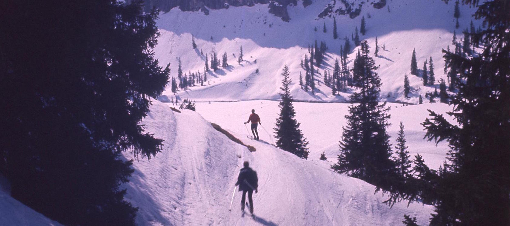 ski copy.jpg