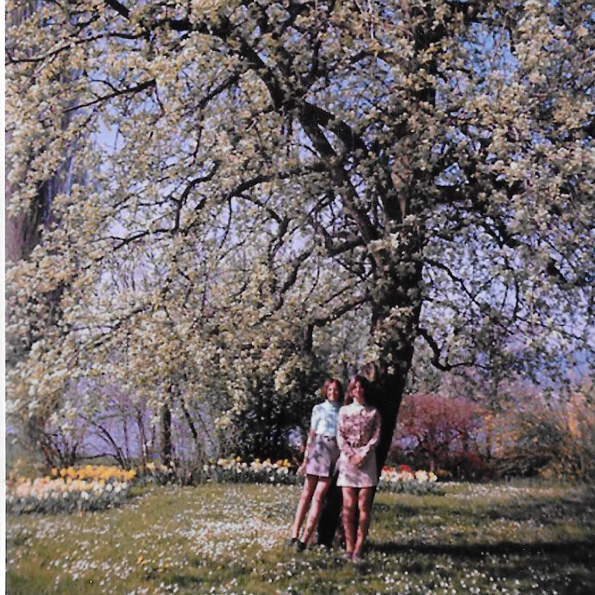 1968: INGRID PITIES EDNA O'BRIEN