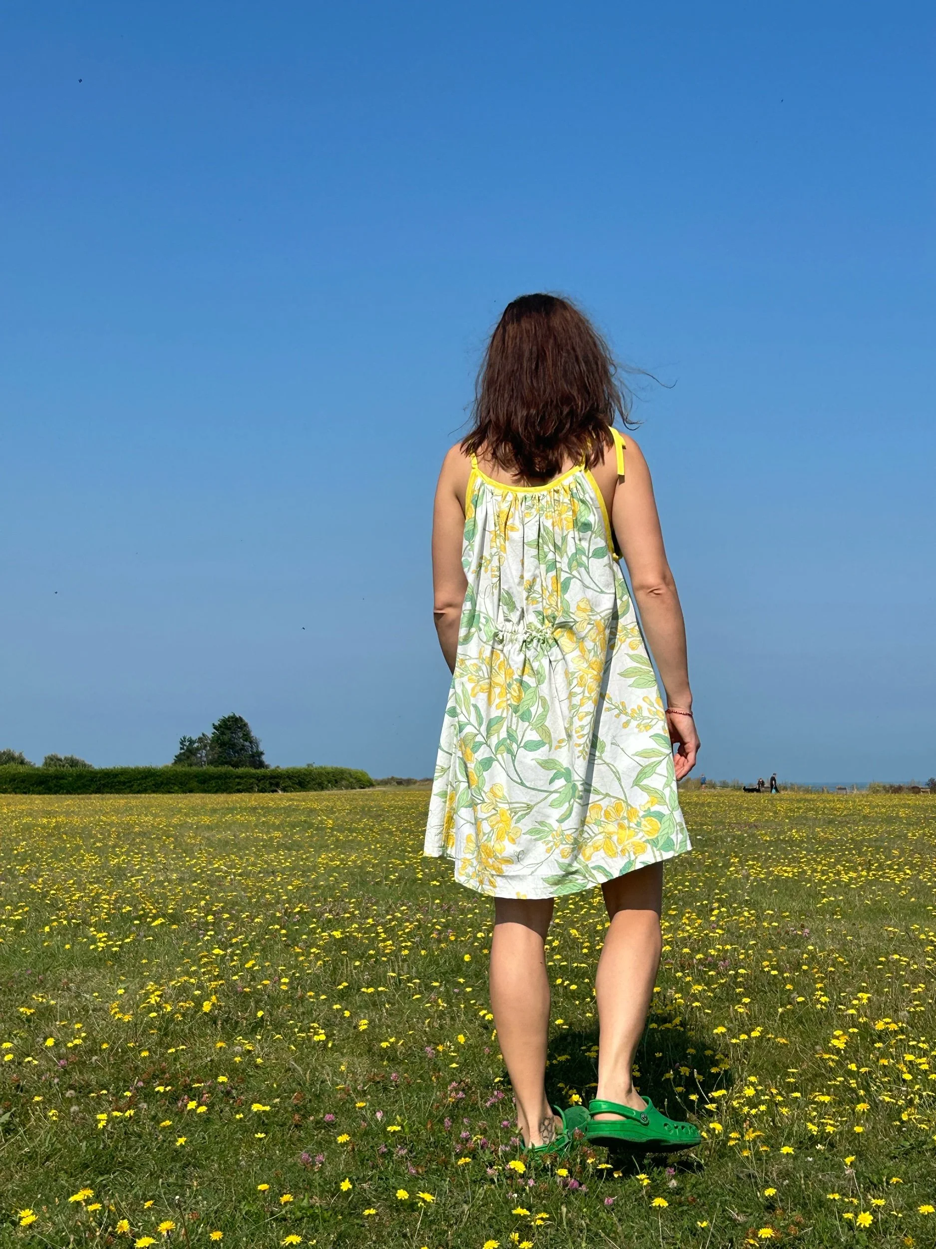 E45B50BB-7E98-489B-9E5C-9F484F97E50E