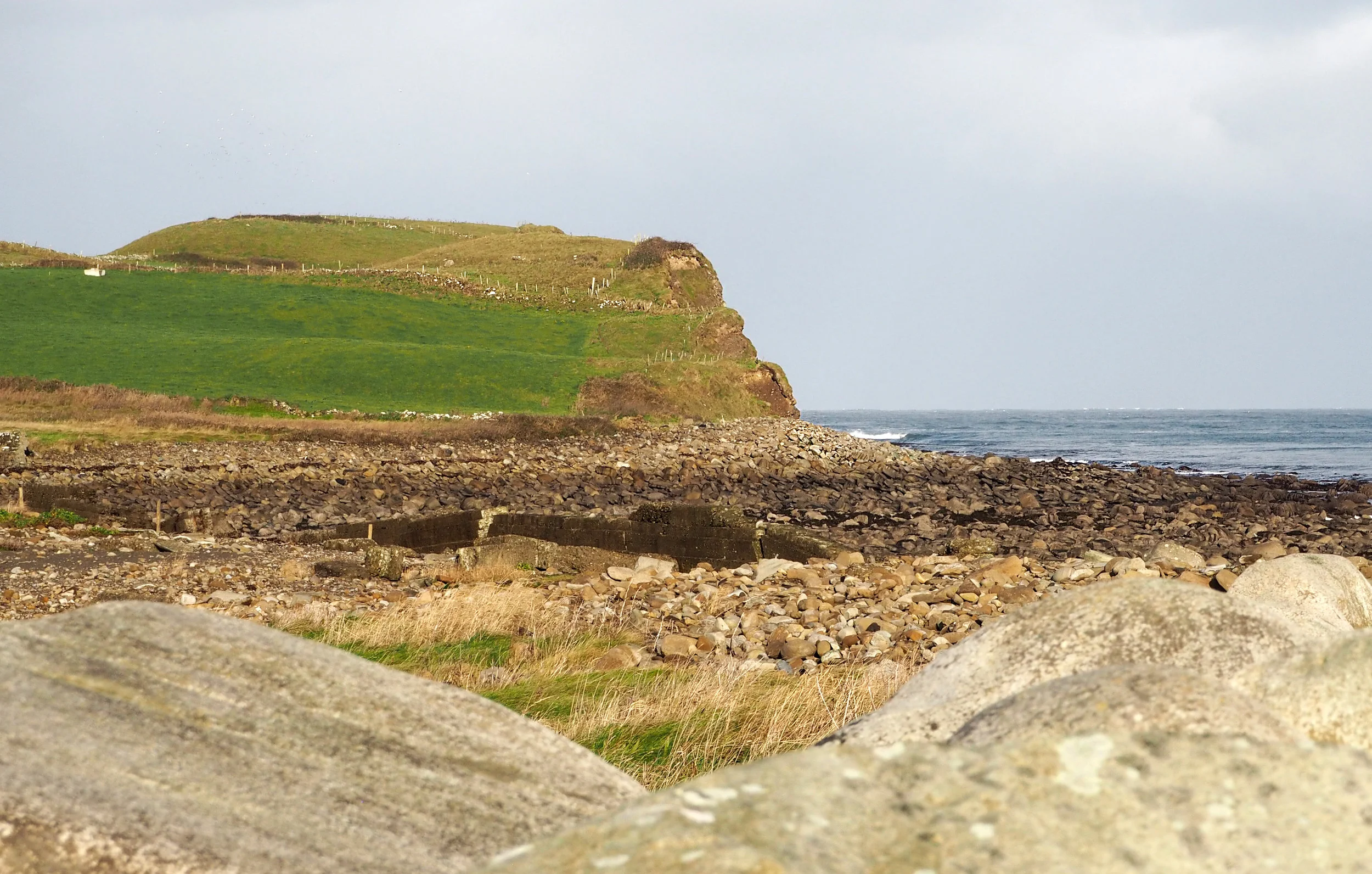 PB160398_1.jpg