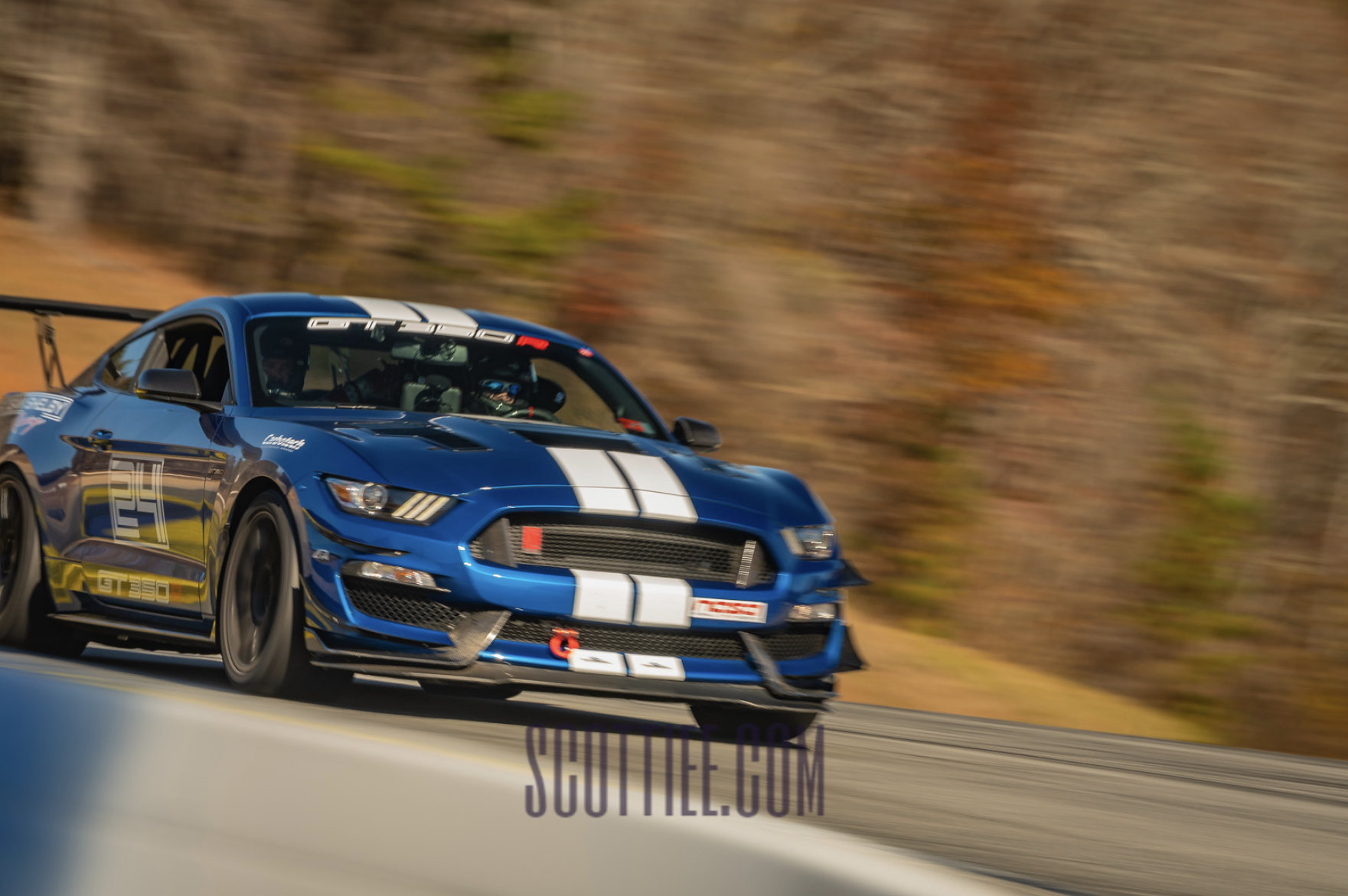 2017 Ford Mustang GT 350 (Copy)