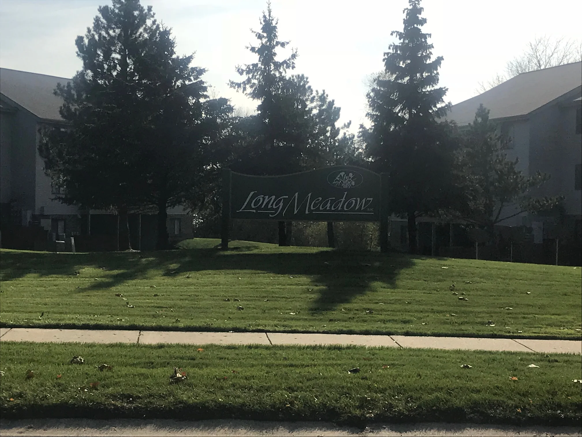 Front Yard.jpg