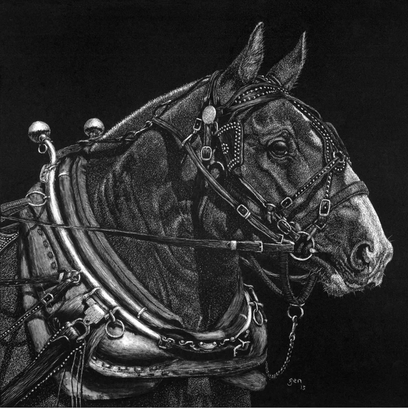 JennaHestekinDraftHorse.jpg