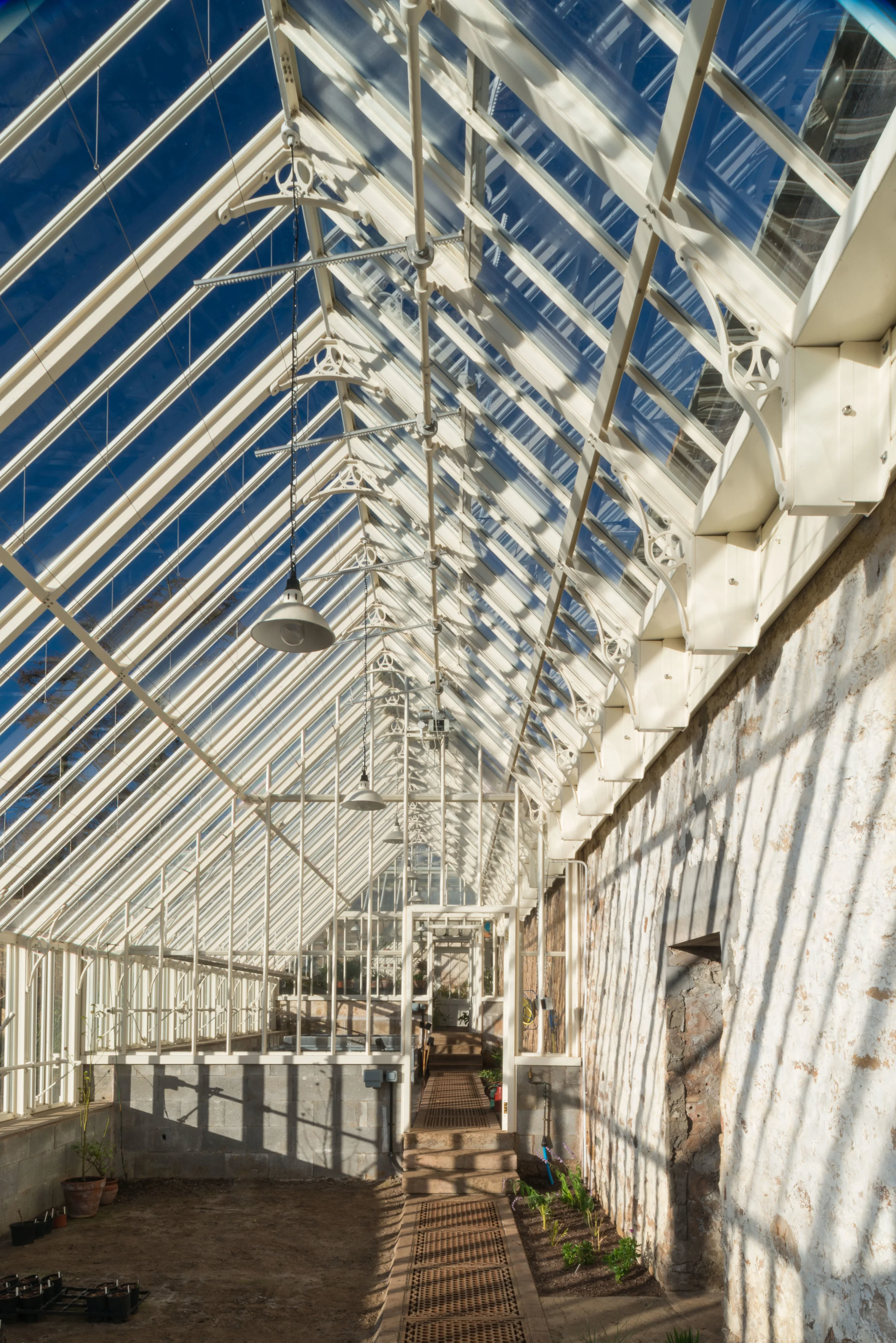 Cambo Glasshouse 120218-7976.jpg