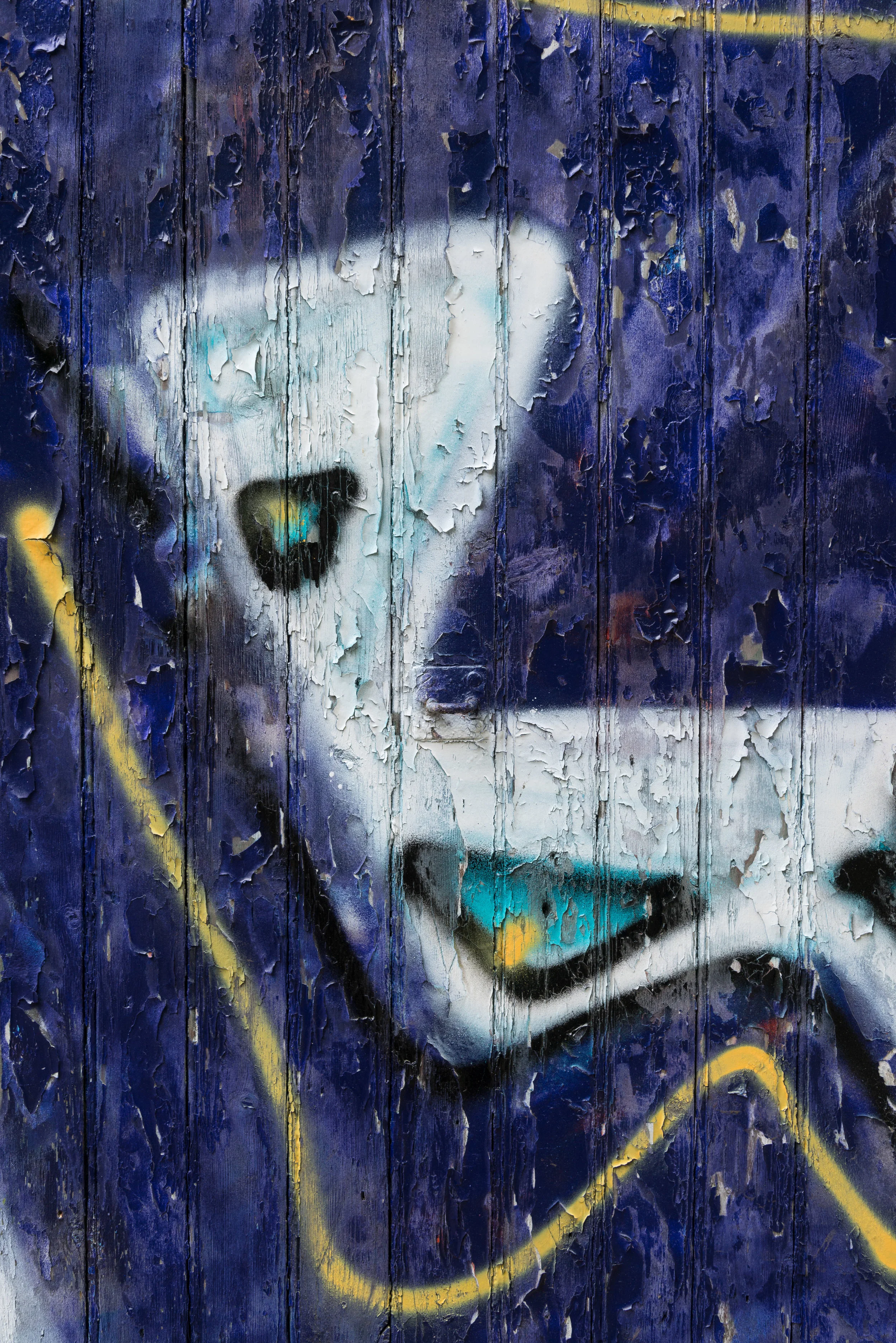 Grafitti-9791.jpg