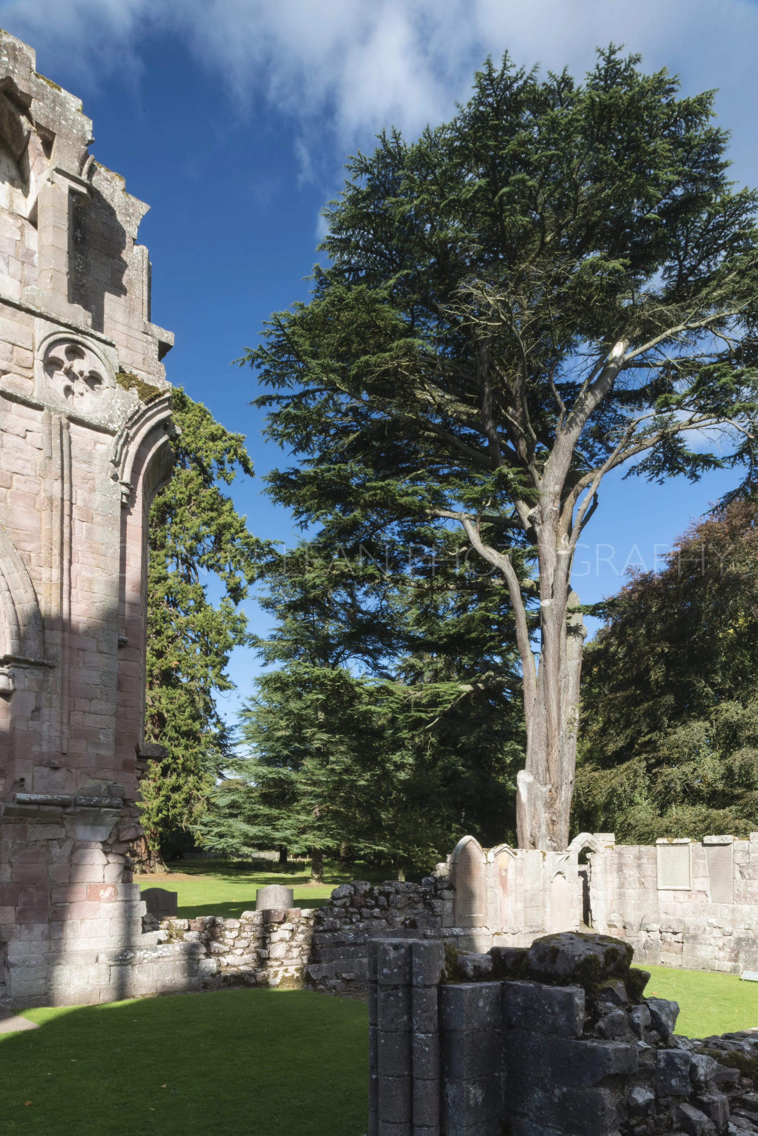 Dryburgh Abbey-1837.jpg