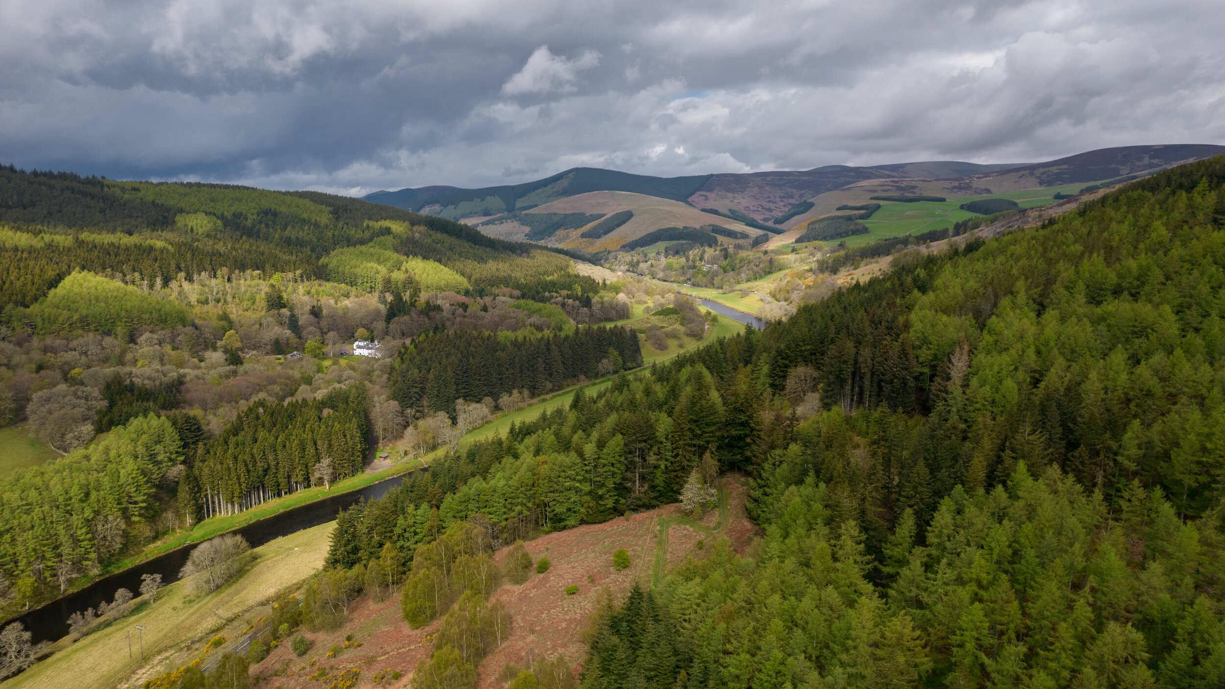 Elibank and the Tweed Valley Forest Park