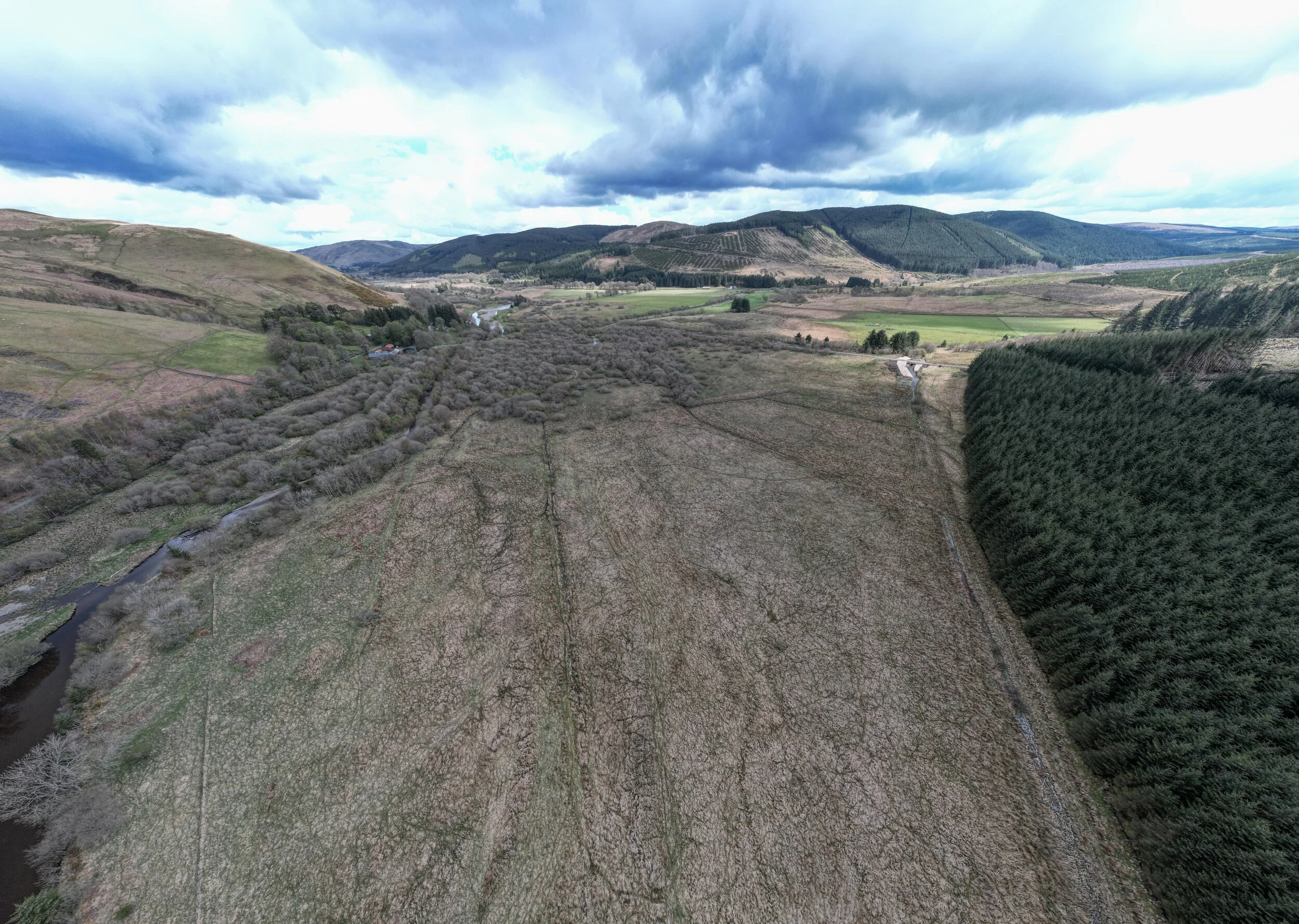 Ettrick Willows, May 12 2021
