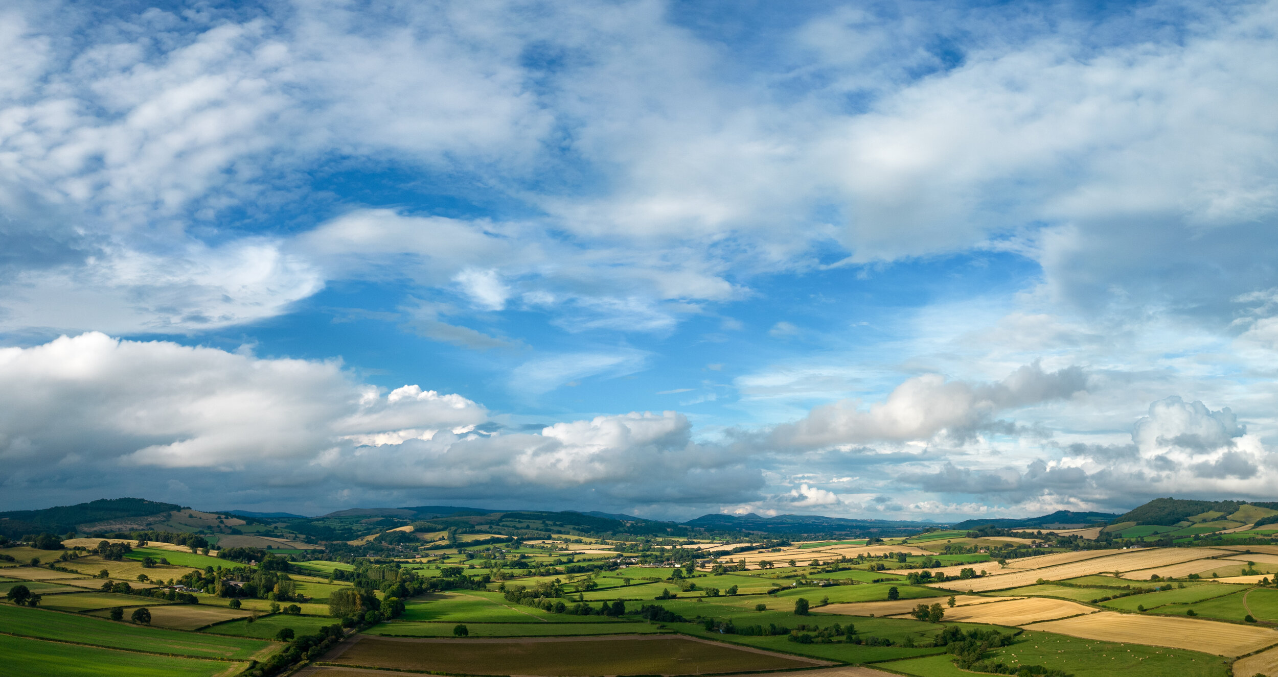 Shropshire landscape 1