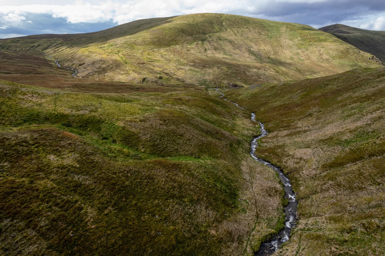 Gameshope Donald S Cleuch September 2023 Colin Mclean Photography
