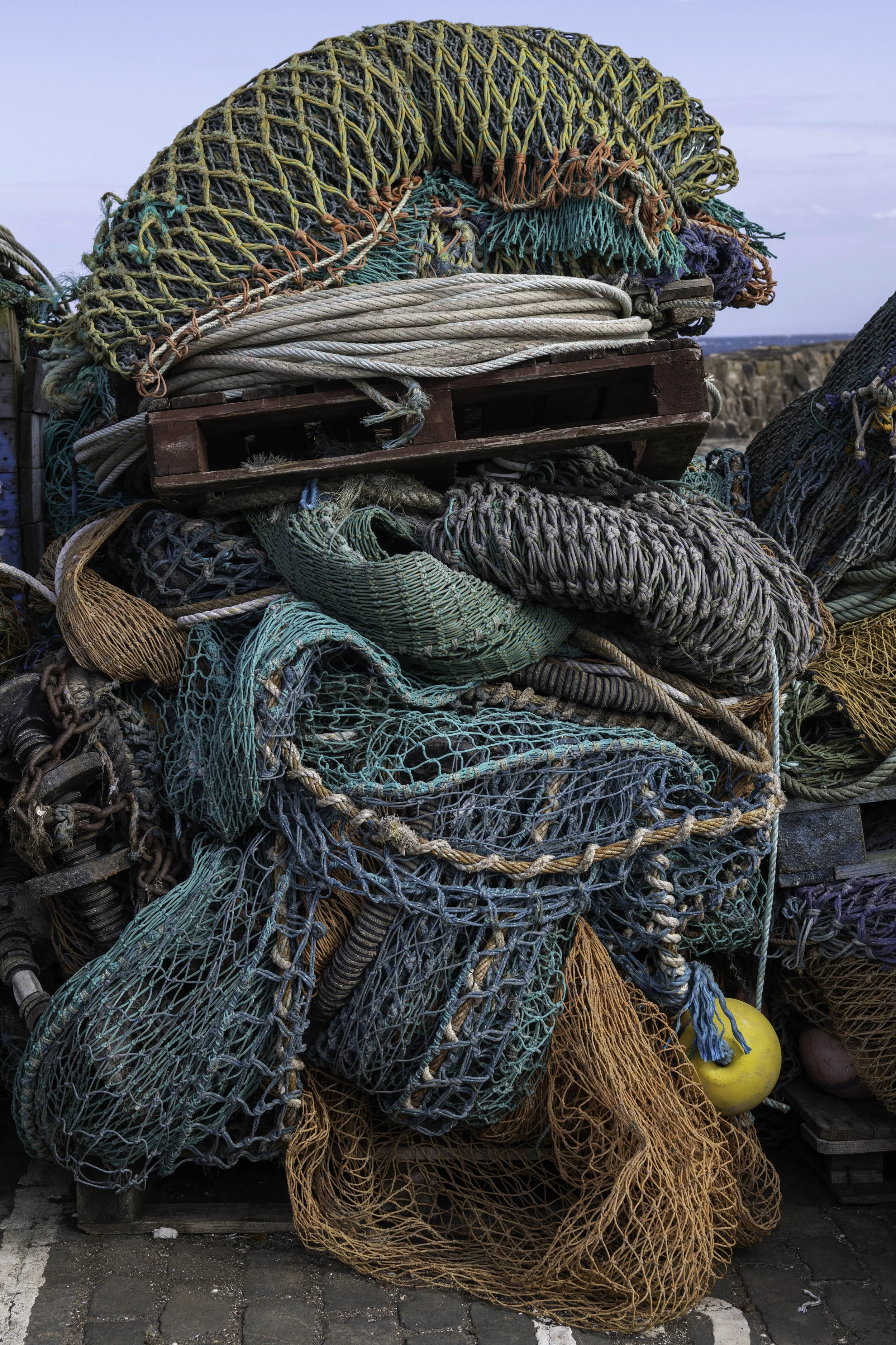 Pittenweem June 28 2025-1477.jpg