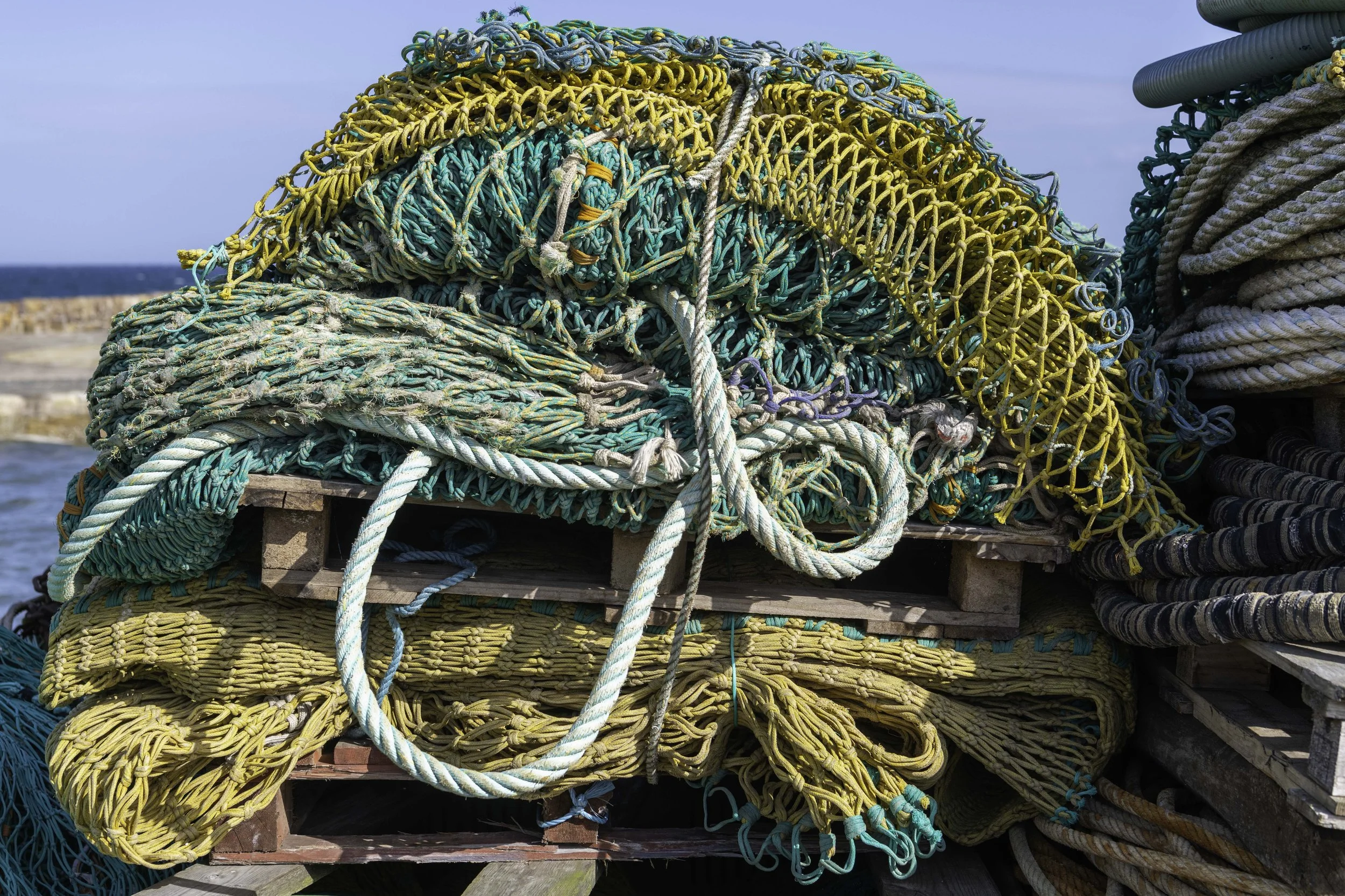 Pittenweem June 28 2025-1491.jpg