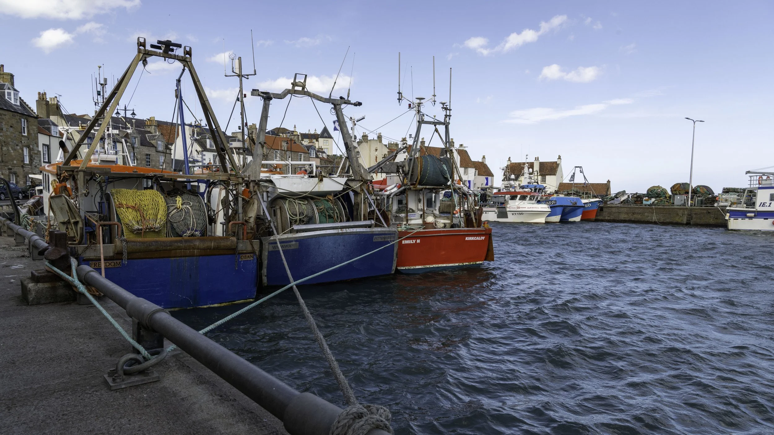 Pittenweem June 28 2025-1494.jpg