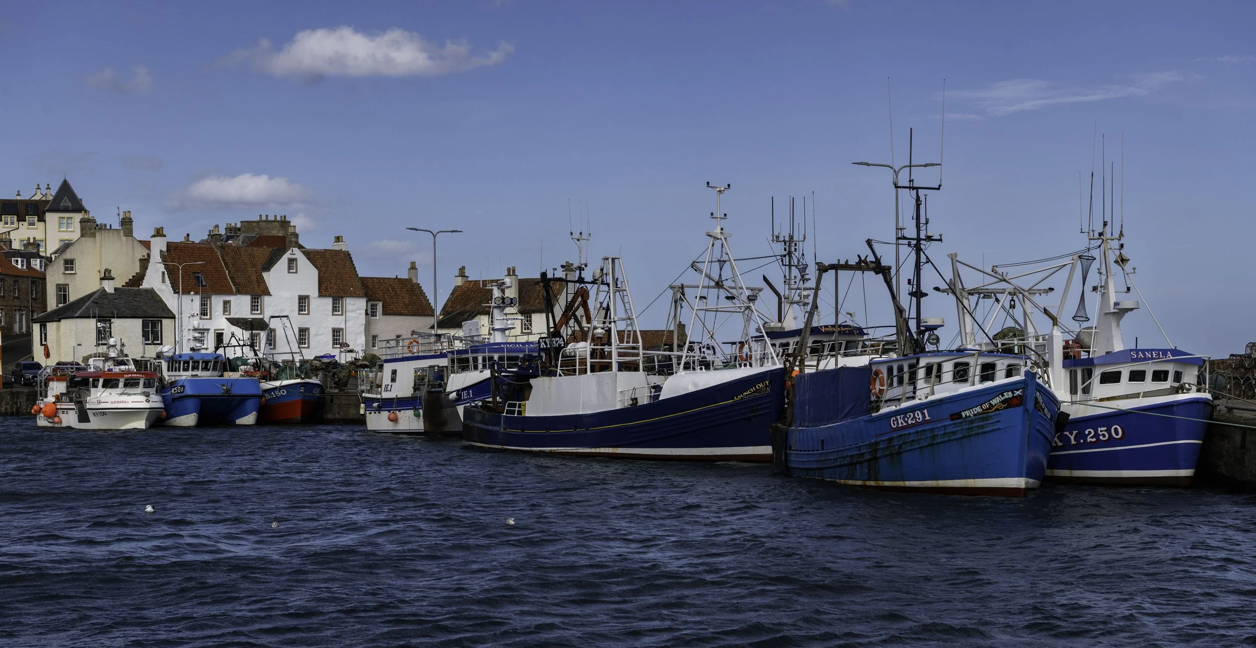 Pittenweem June 28 2025-1496.jpg