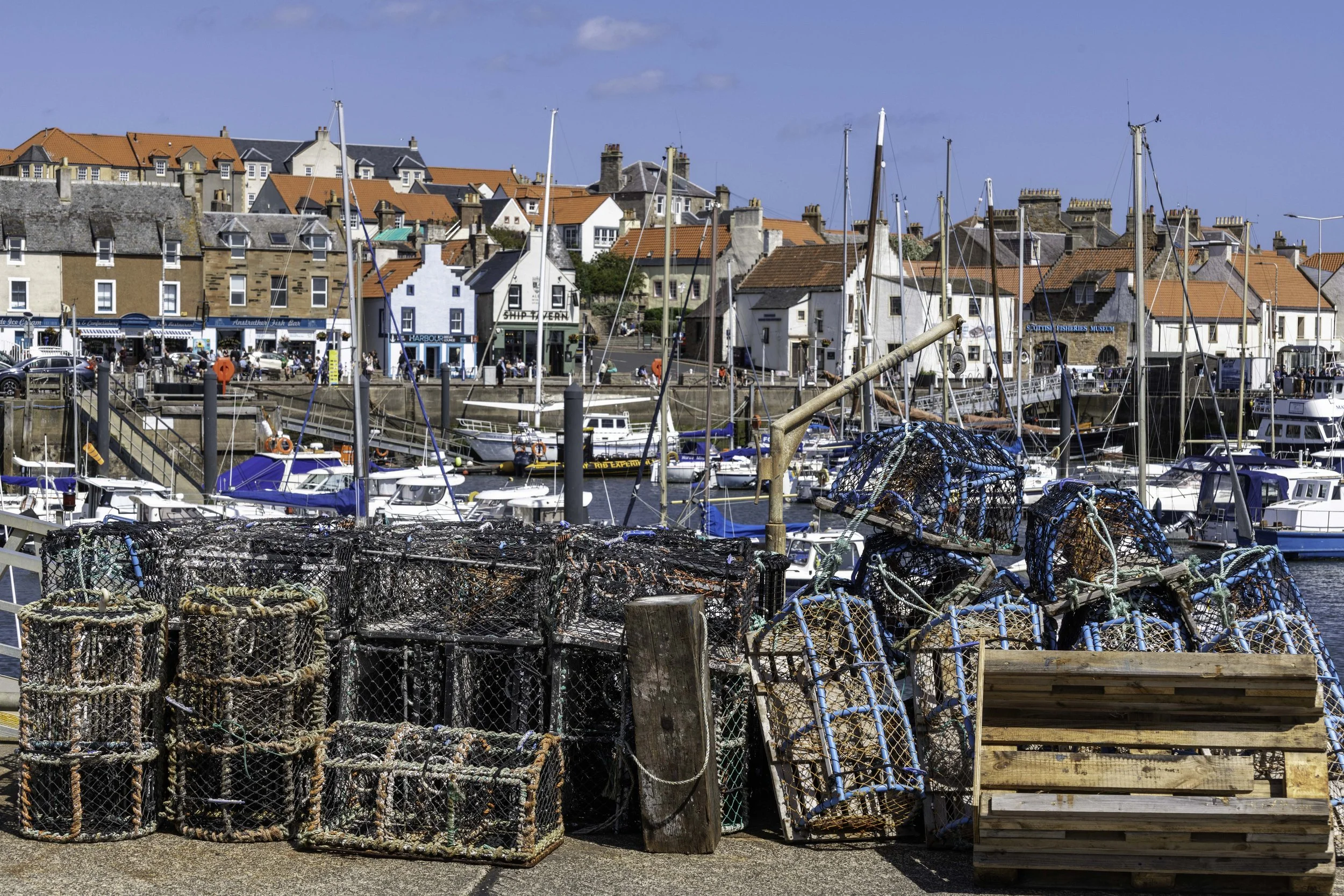 Anstruther June 28 2025-1451.jpg