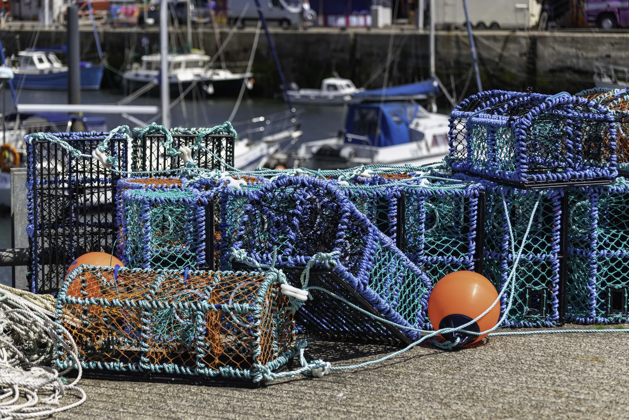 Anstruther June 28 2025-1452.jpg