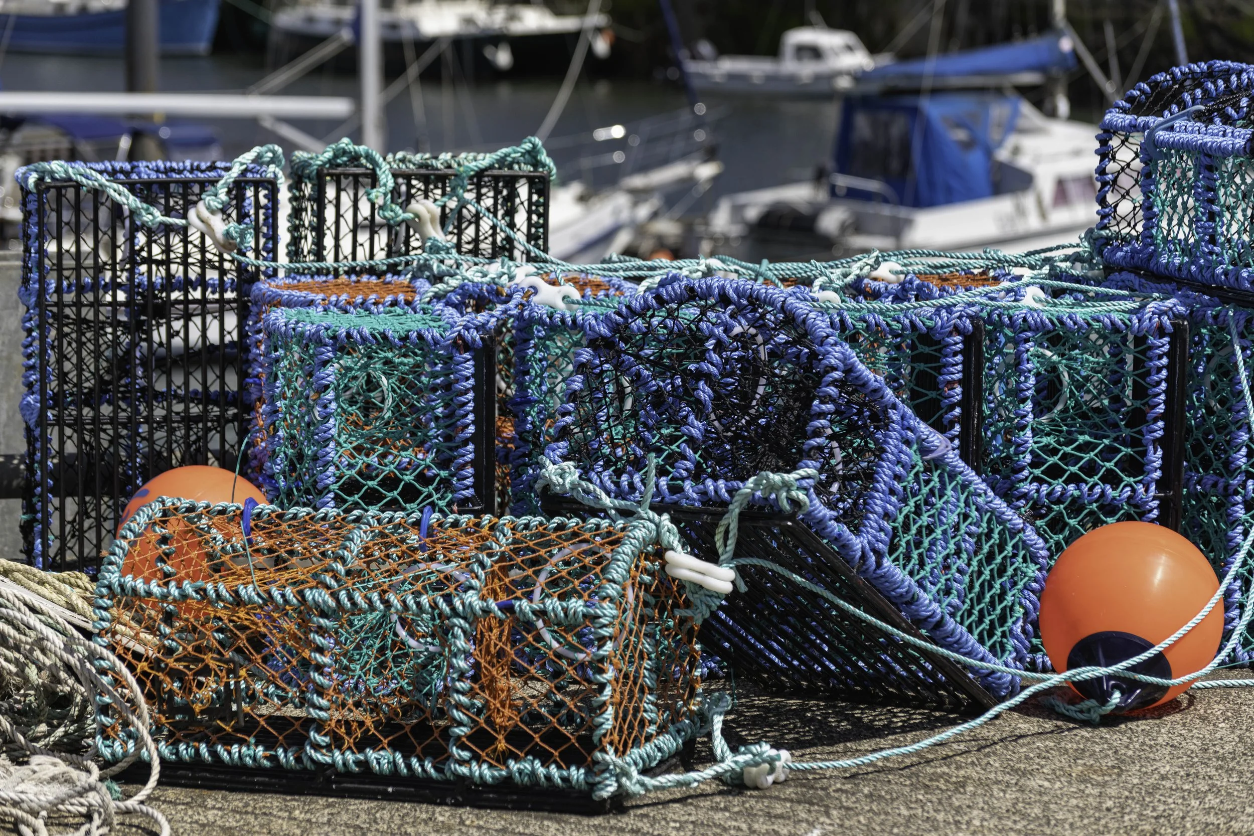 Anstruther June 28 2025-1453.jpg