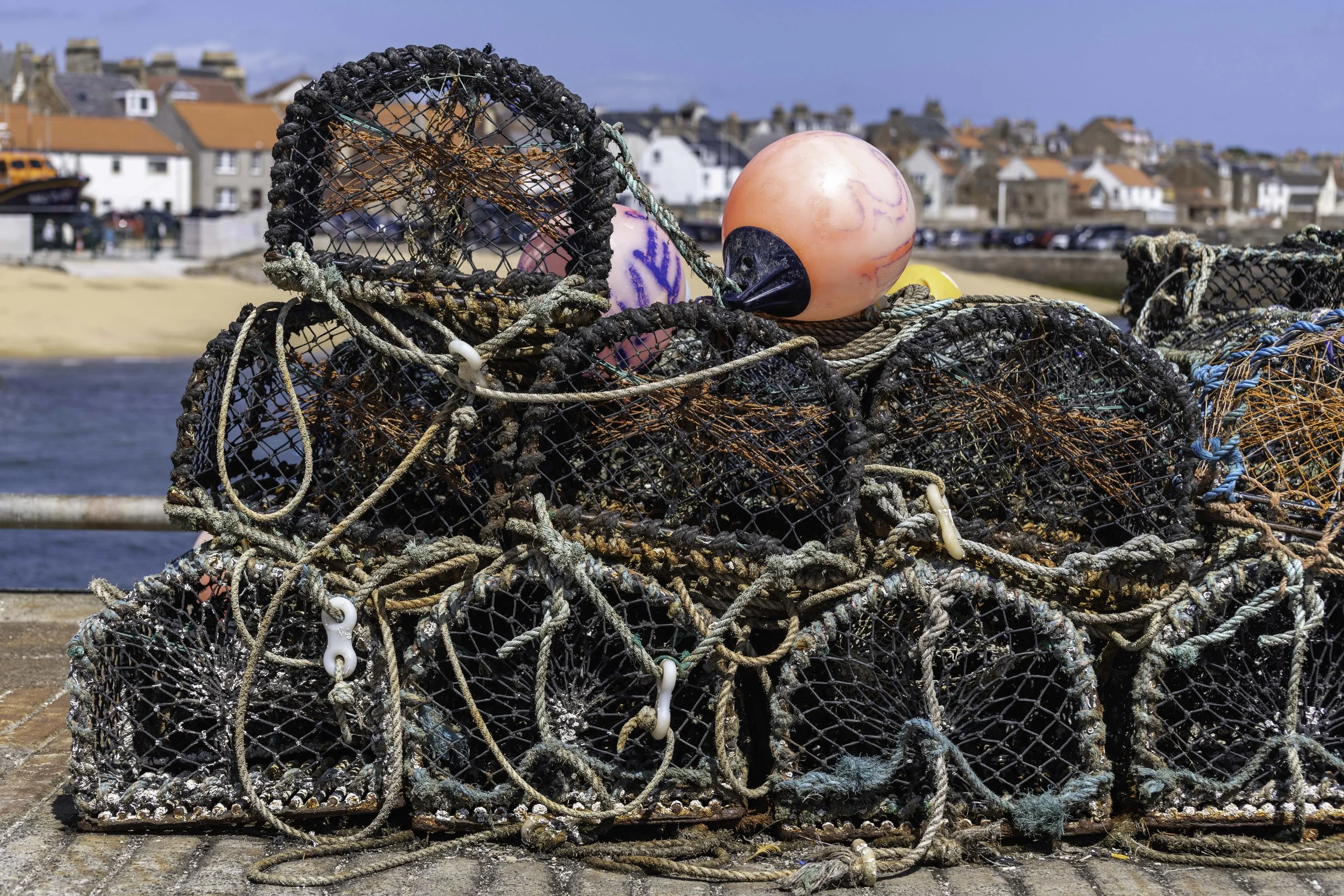 Anstruther June 28 2025-1459.jpg