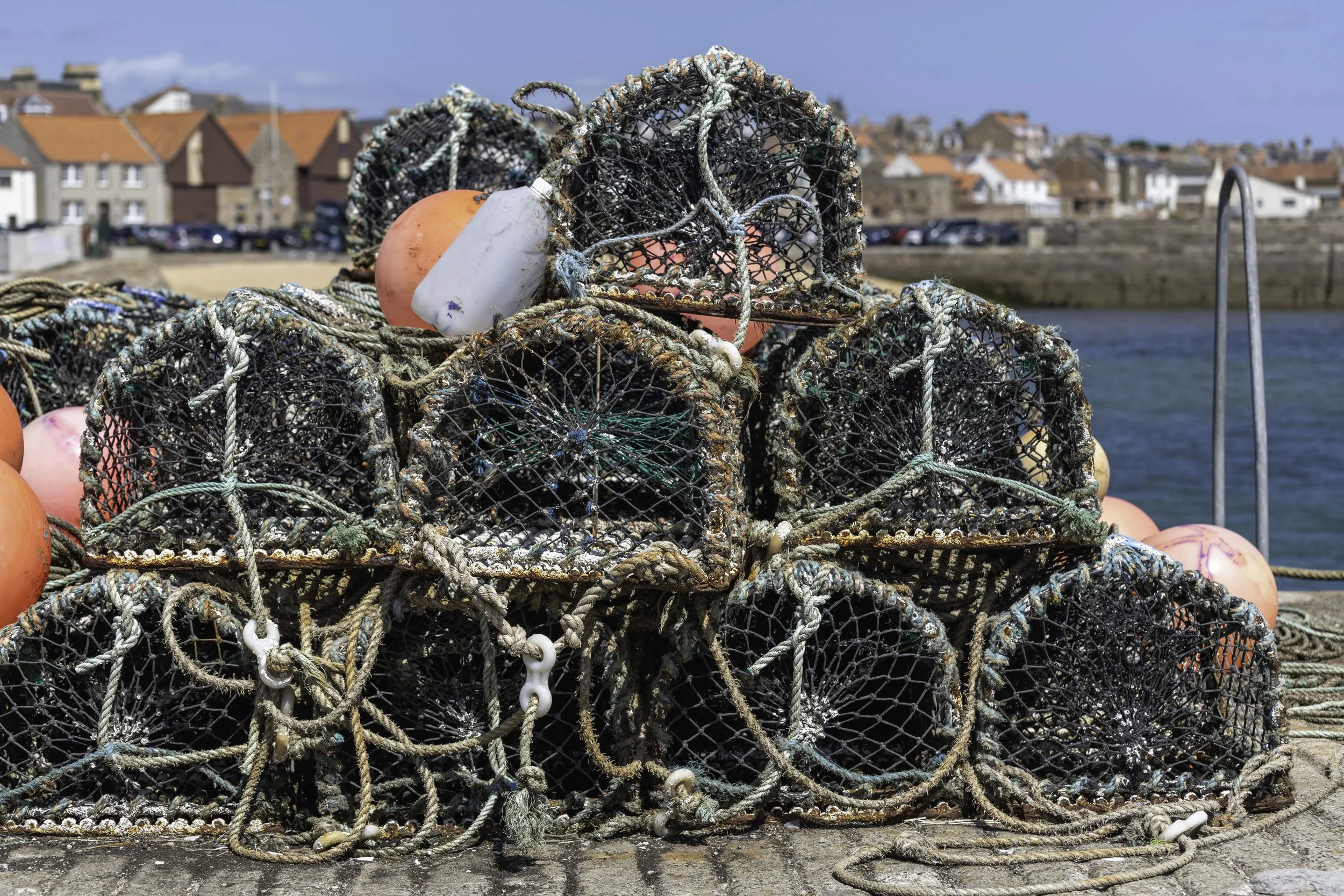 Anstruther June 28 2025-1460.jpg