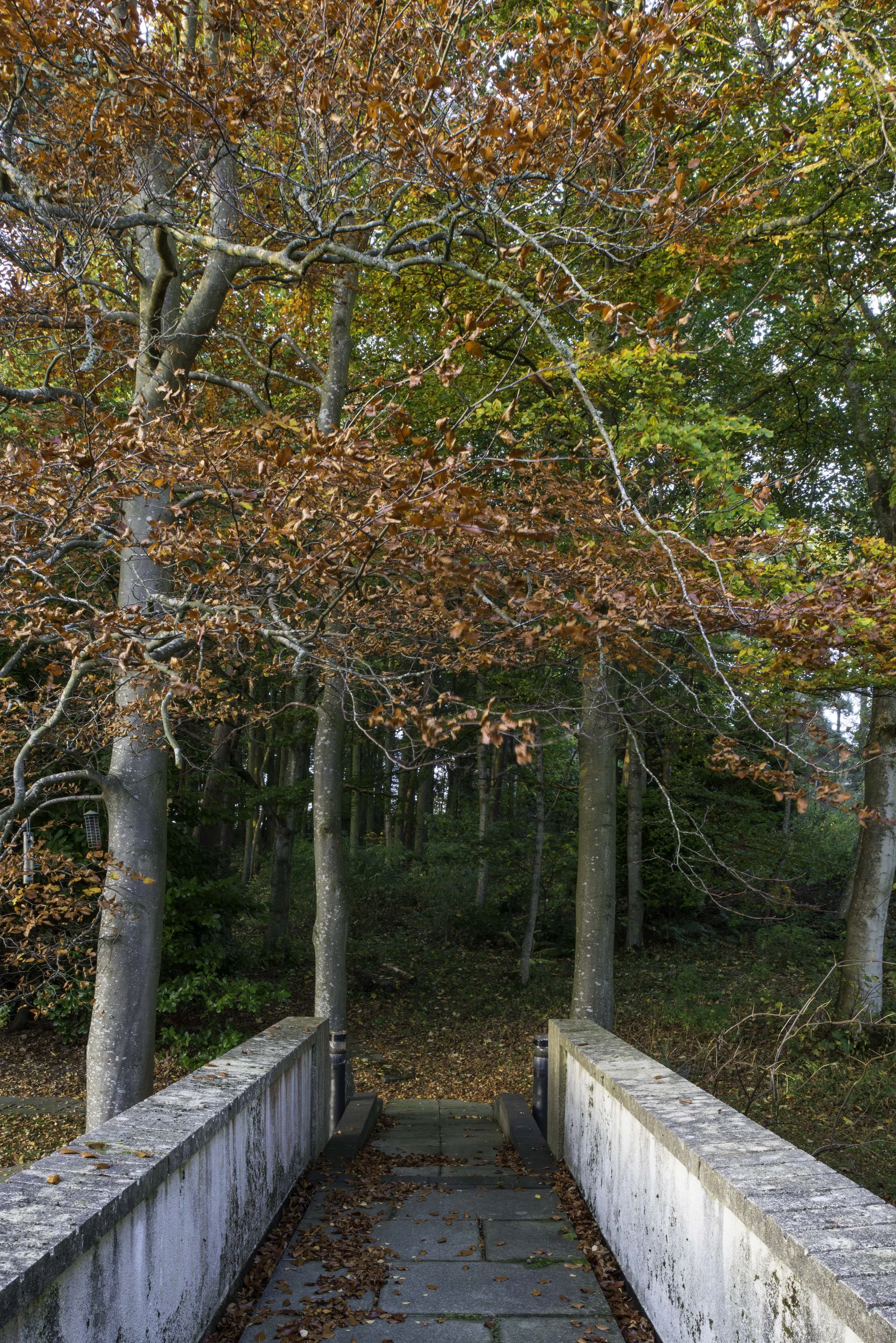 Bernat Klein Studio, Nov 11 2015 ©CMP-2291.jpg