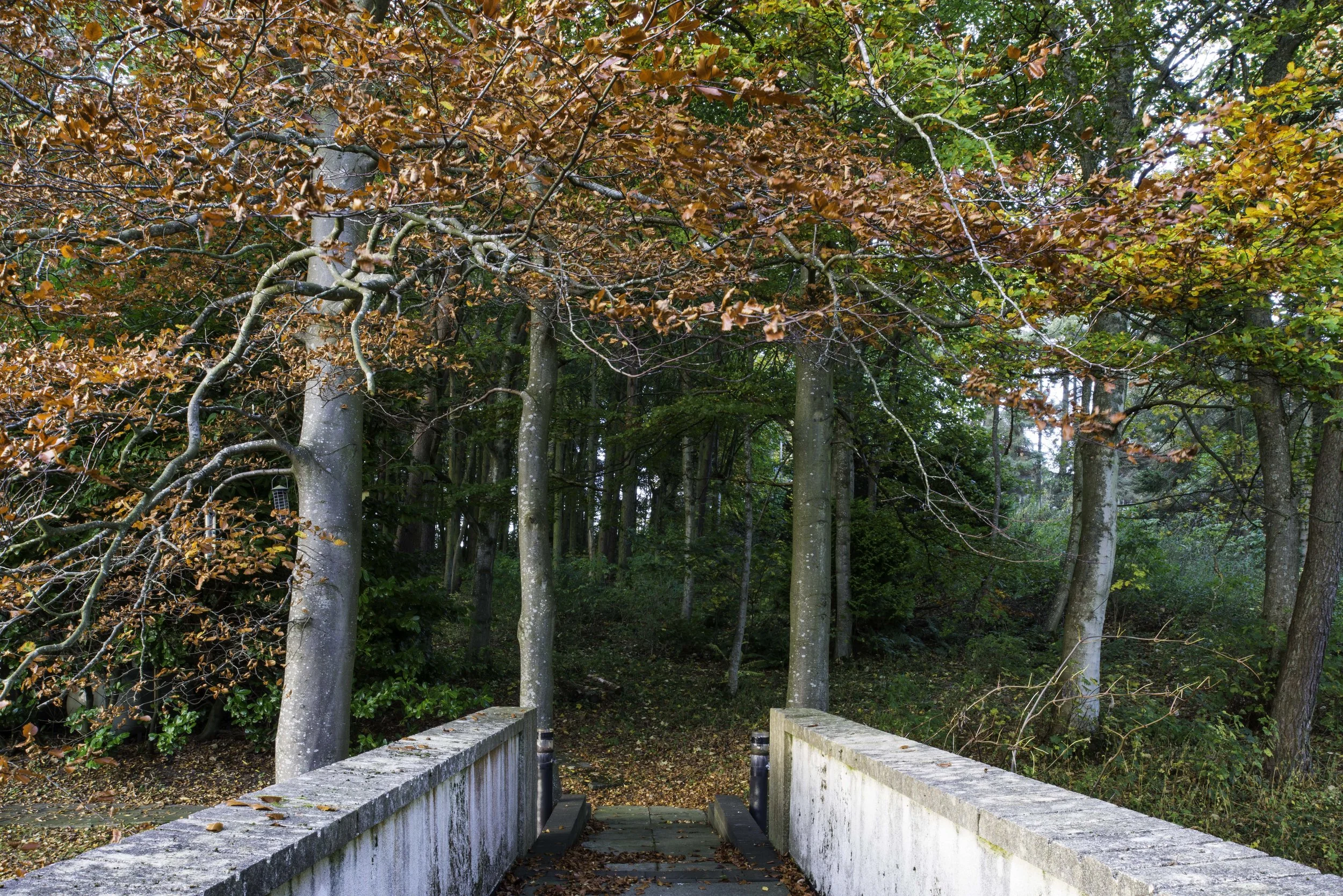 Bernat Klein Studio, Nov 11 2015 ©CMP-2292.jpg