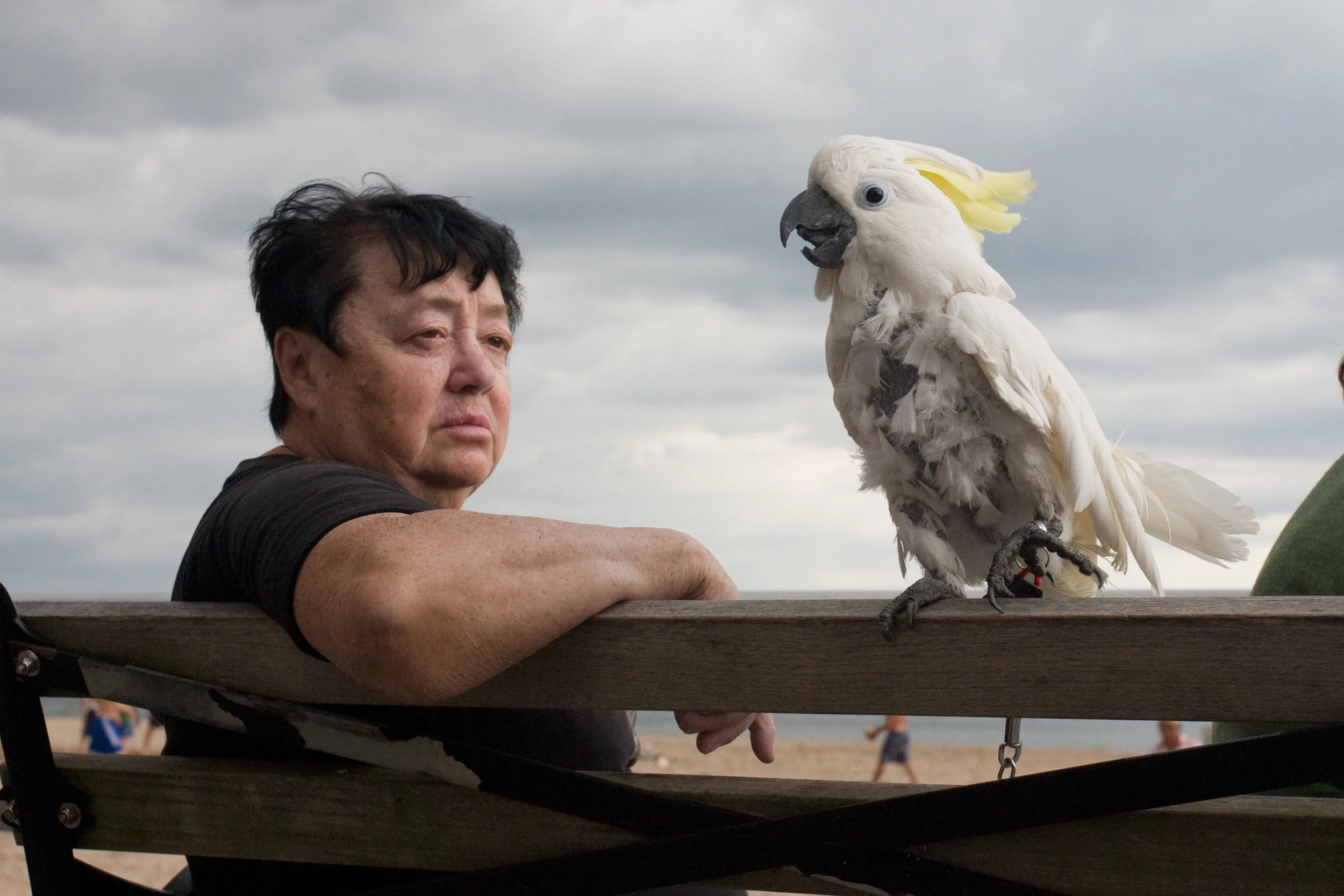 Coney Island RedevelopmentChristian Science Monitor Magazine