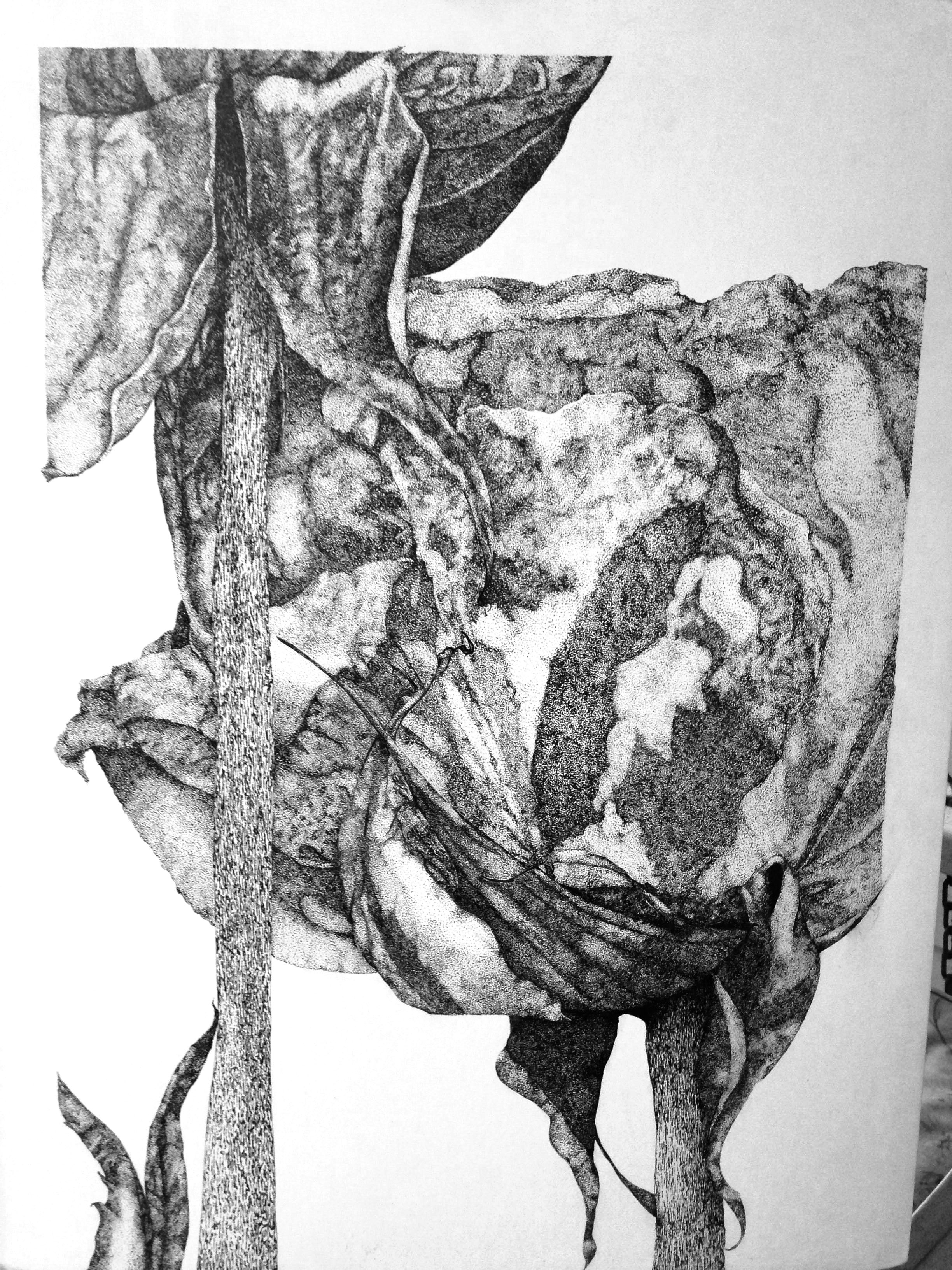 photo12.jpg
