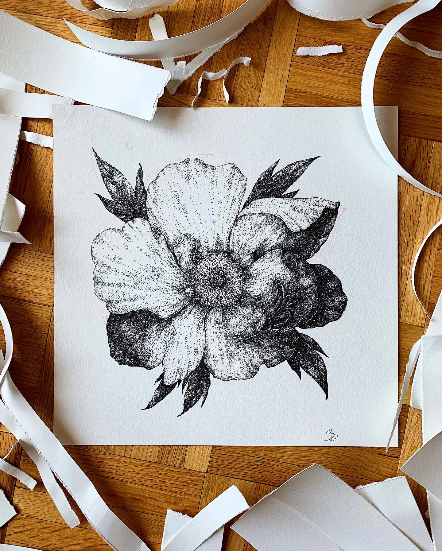 Peony