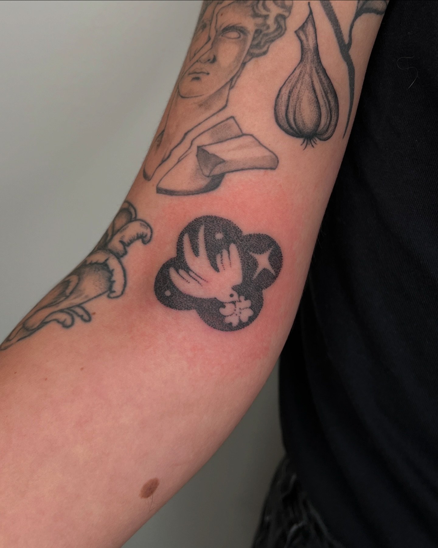 Some special little guys from lately 😌
Bird with dogwood for a dear friend
Custom acorn lucky charm as a fundraiser tattoo
Flash lily piece with the best placement ever

#handpoke #tattoo #chicagotattooartist #acorntattoo #dogwoodtattoo #lilytattoo 