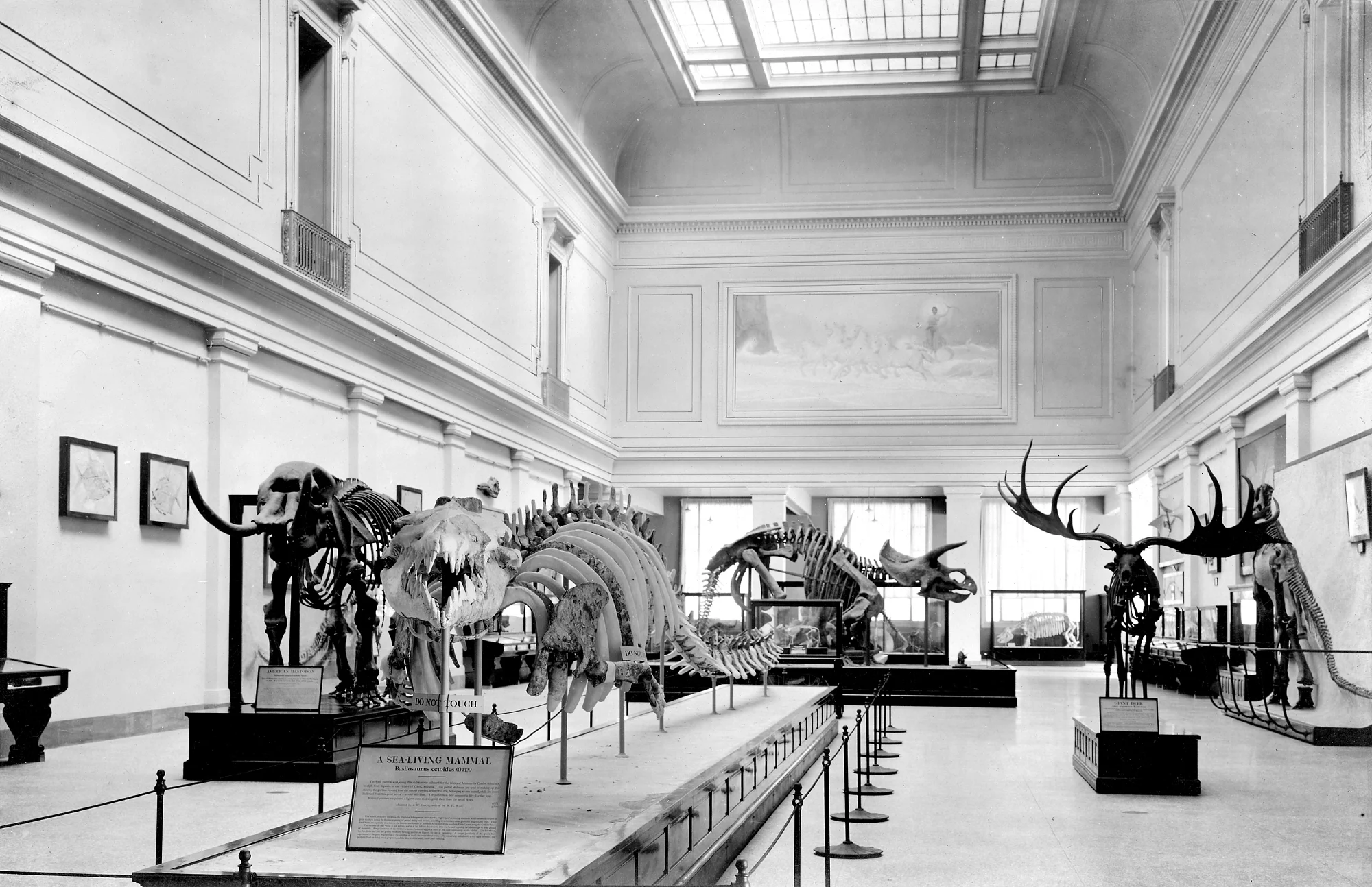 NMNH_Skylight.jpg