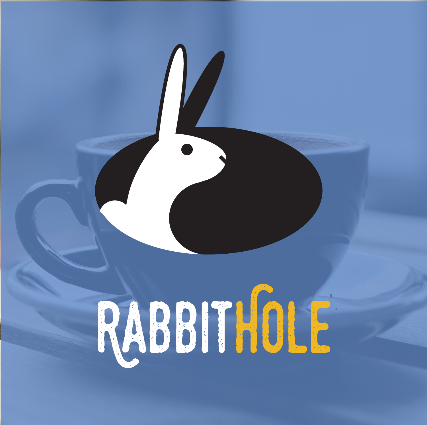 RABBITIDENTITY-01.png