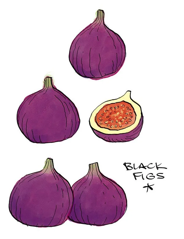 figconserve_blackfigs.jpg