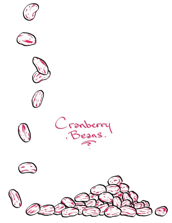 Fish_bluefishcranberrybean.jpg