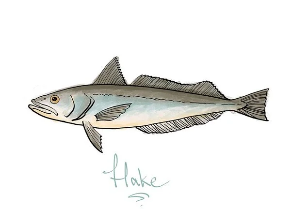Fish_hake.jpg