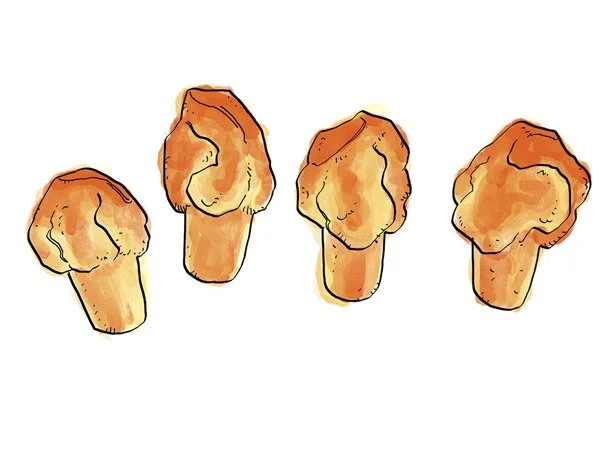 Pastry-Popovers-with-Honey-&-Sea-Salt_1.jpg