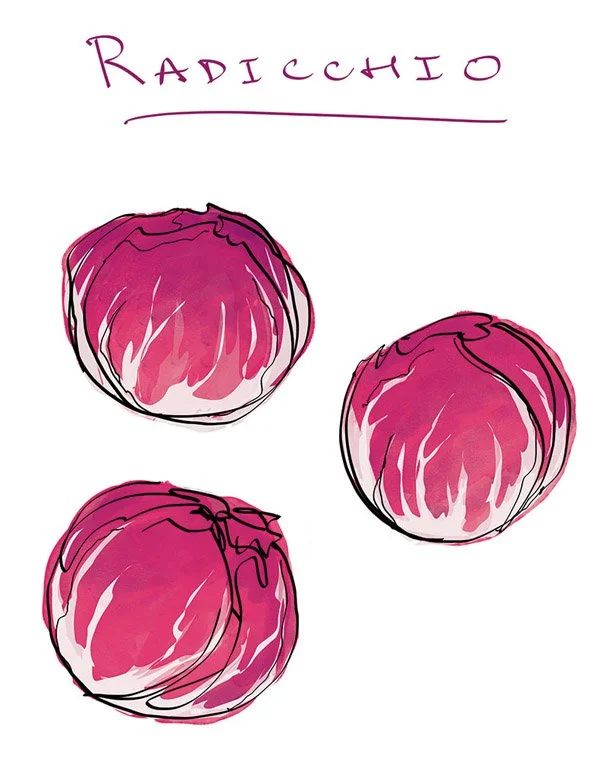 Salad_EscarolefennelGrape_rad.jpg