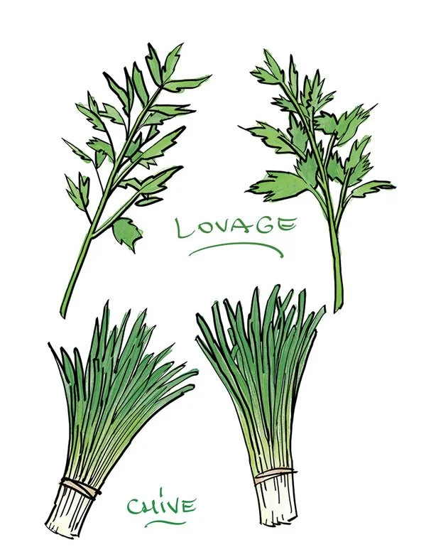 Salad_SnugHarborGreens_ingredients.jpg