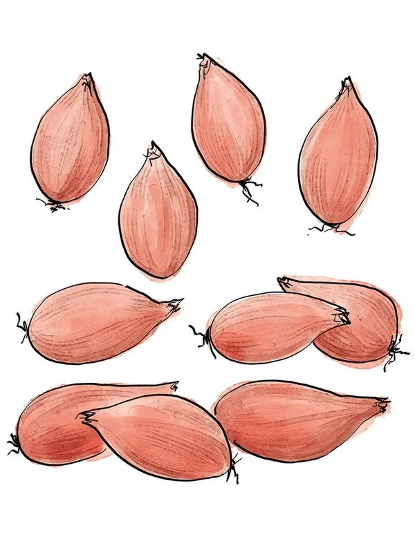 Sauce_HollandaiseBearnaise_shallots.jpg