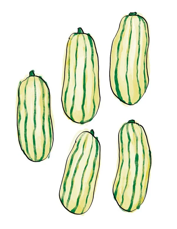 Pastry-Delicata-Squash.jpg