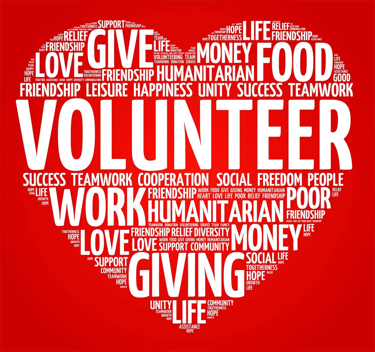 Volunteer Image Smaller.jpg