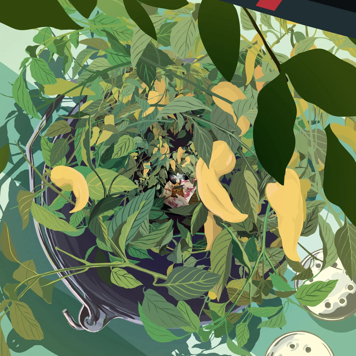 025.jpg