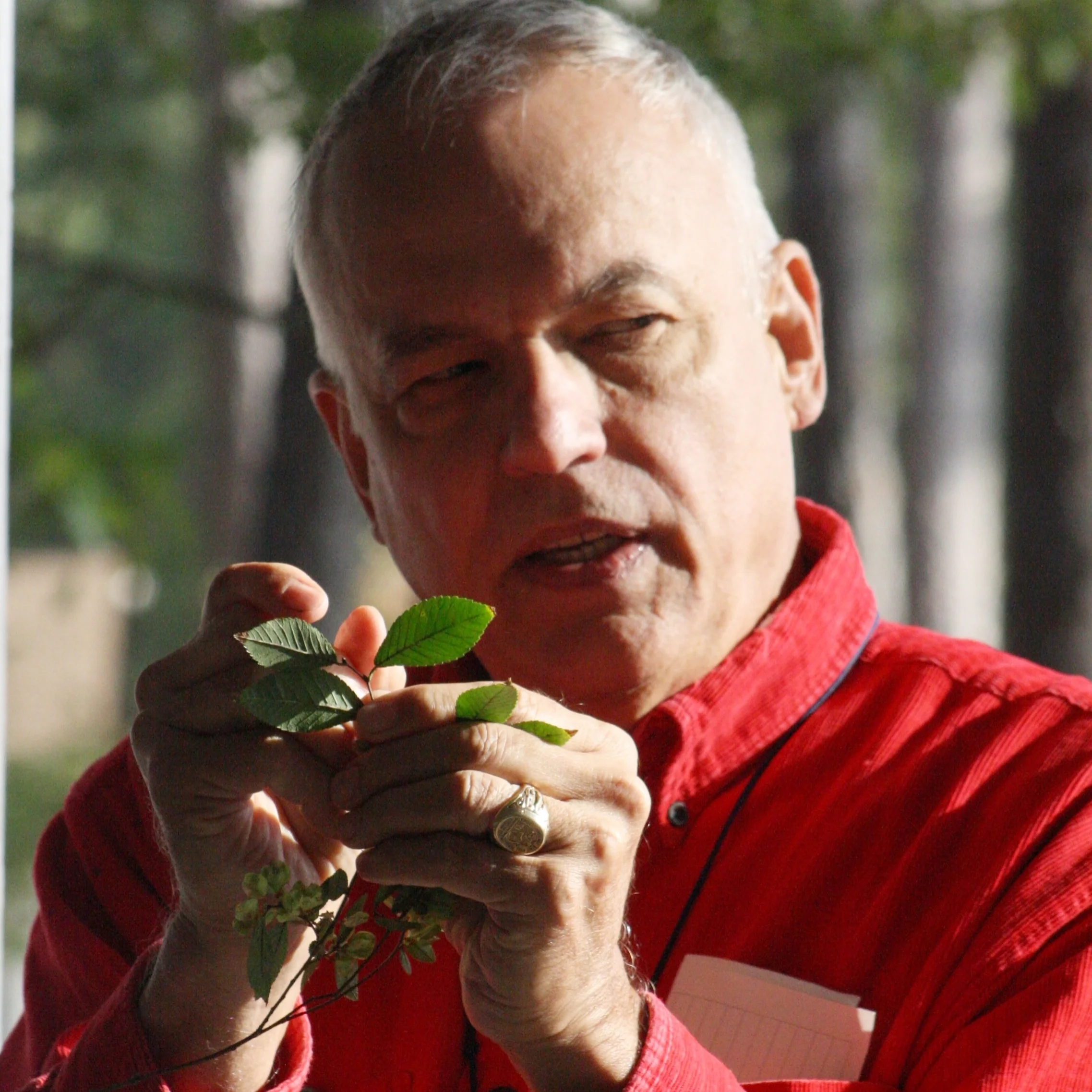 Botany 21.jpg