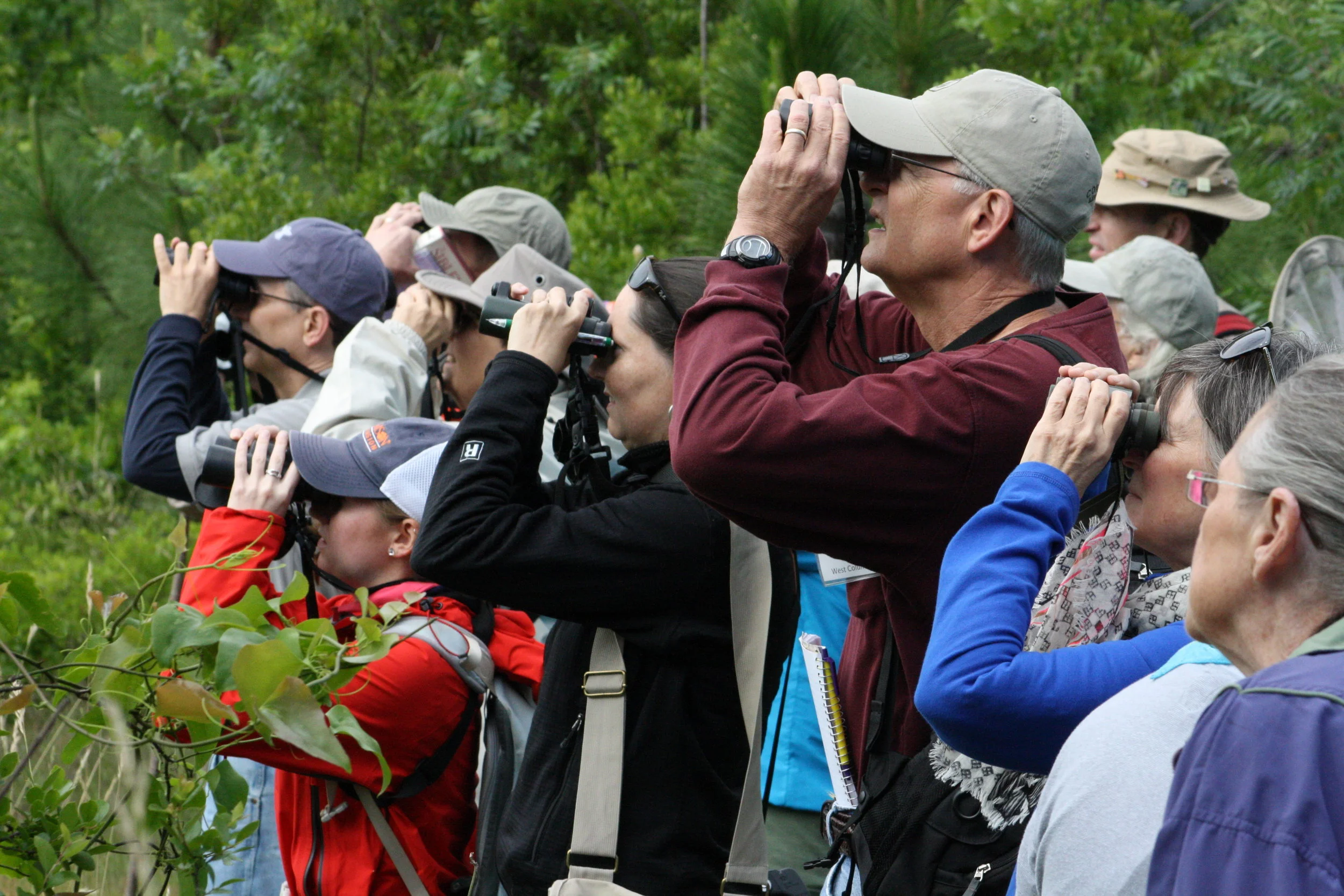 Birding Group.jpg