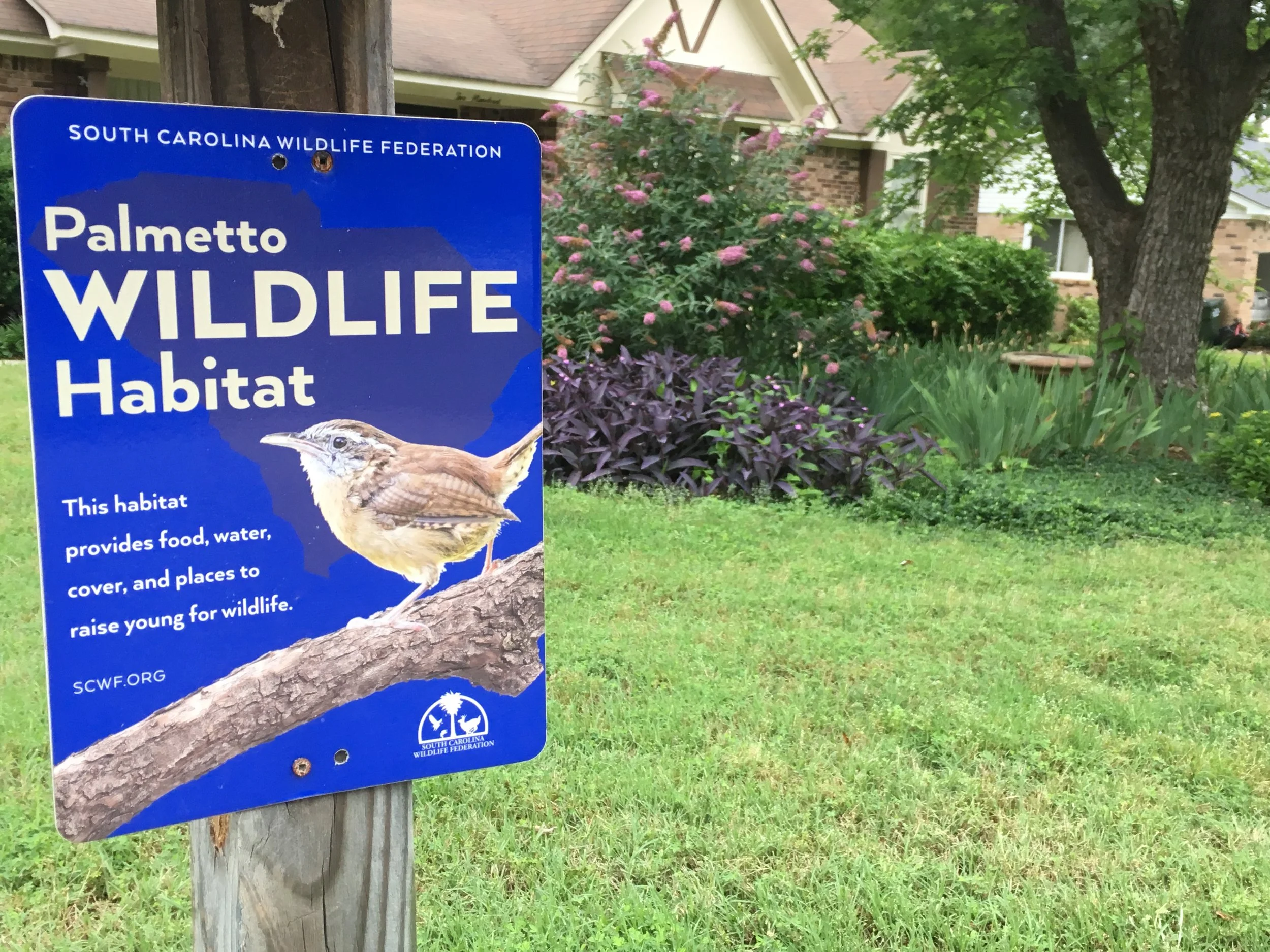 Create wildlife habitat at home — South Carolina Wildlife Federation