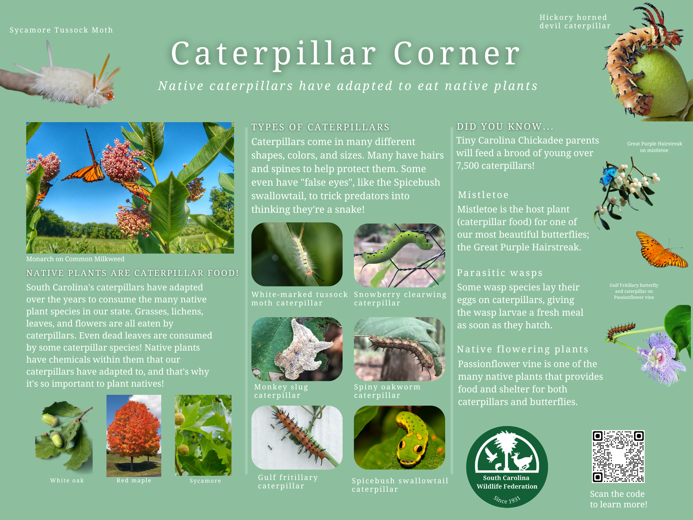 Caterpillar Corner Sign $115