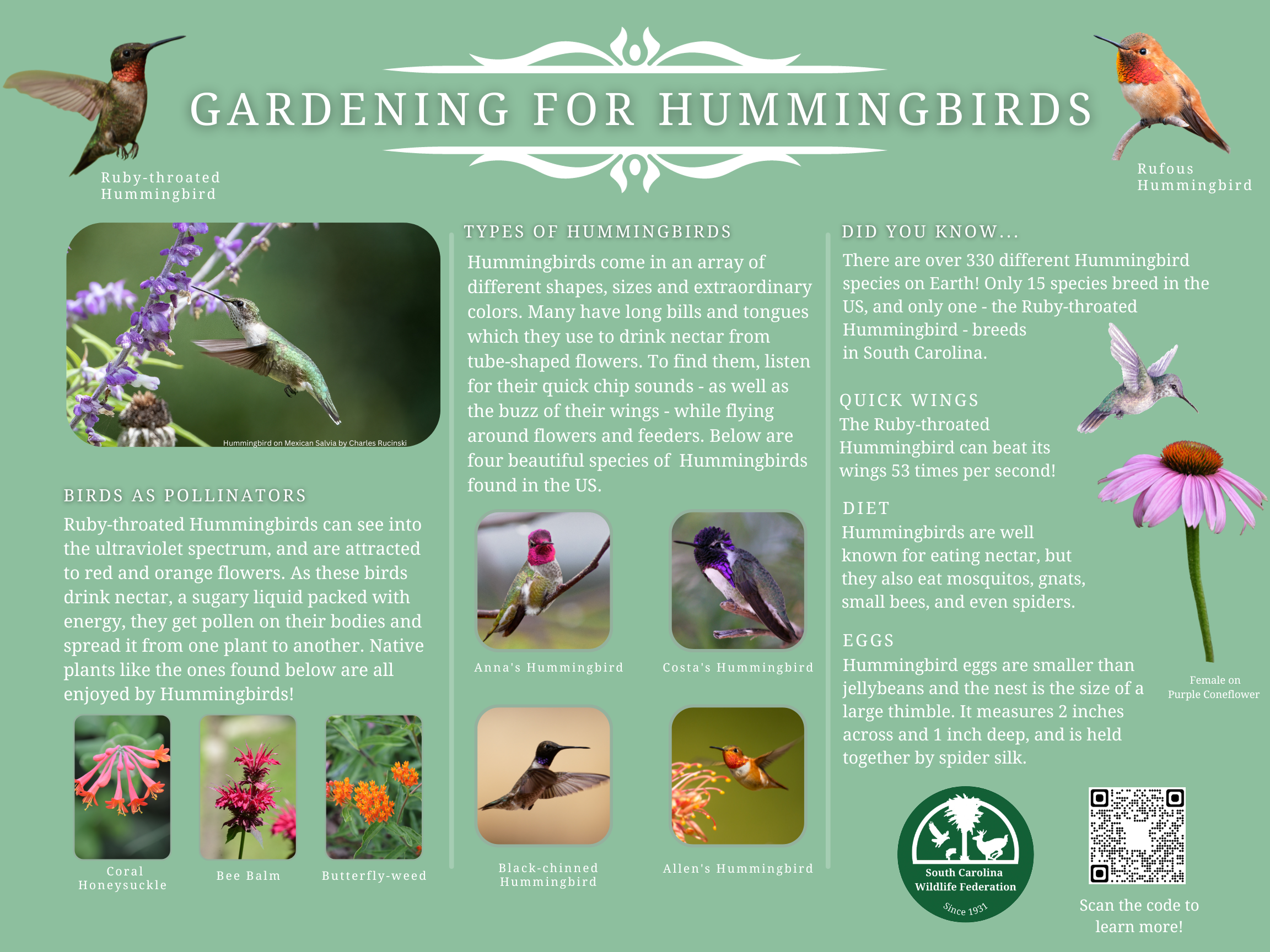 Gardening for Hummingbirds Sign $115
