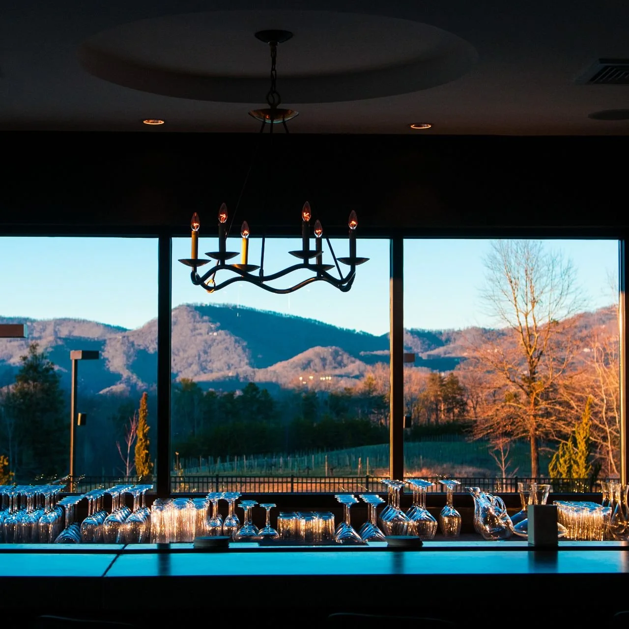 Forks, Knives, & Spoonbills Conservation Dinner at Hotel Domestique in