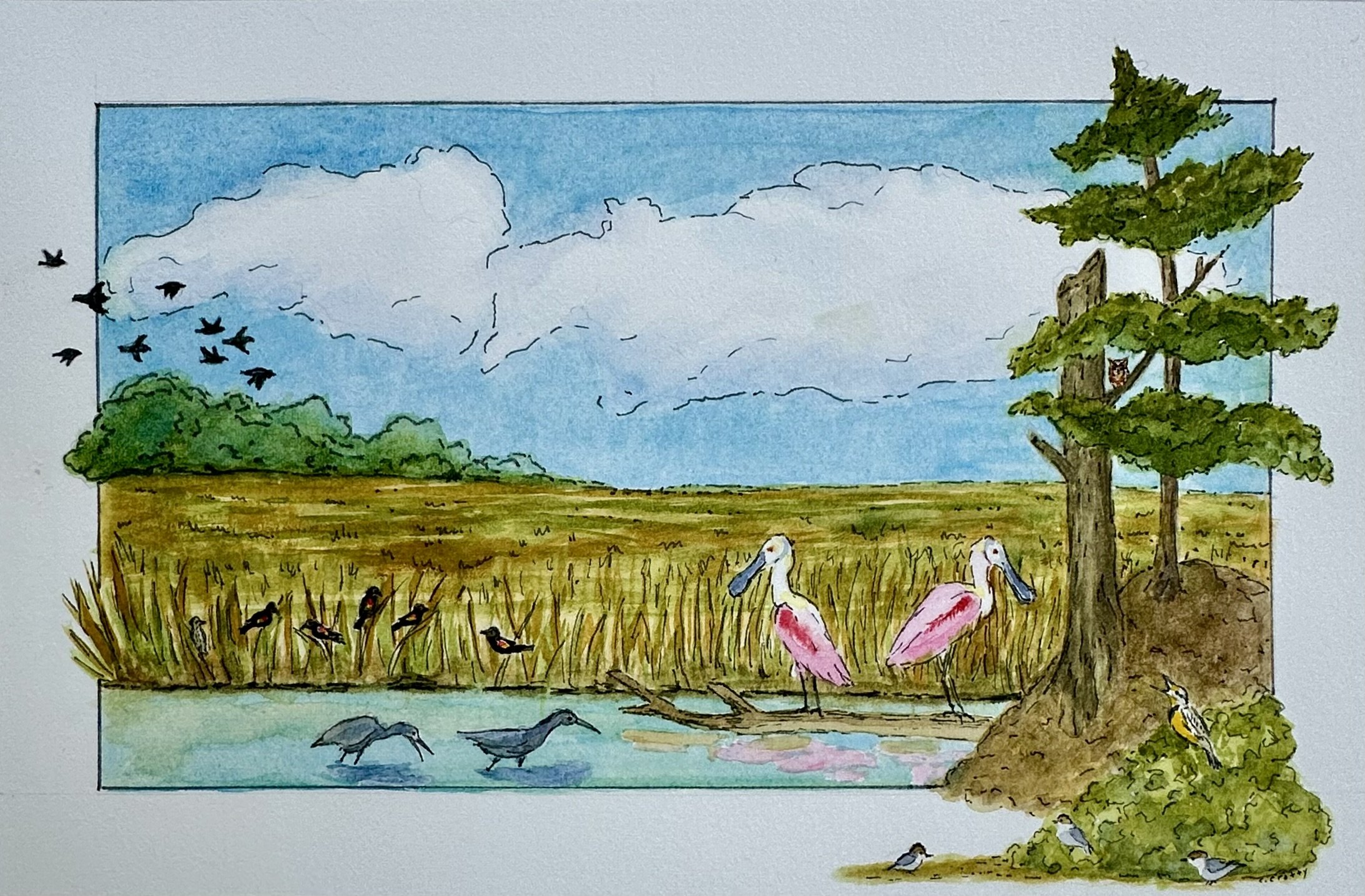 SCWF art contest 2024-Gathering at the Marsh by Chris Cotty.jpeg