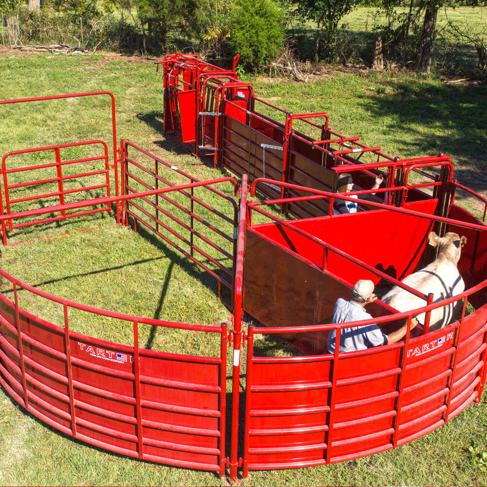Cattle Handling Tarter Farm And Ranch Equipment American