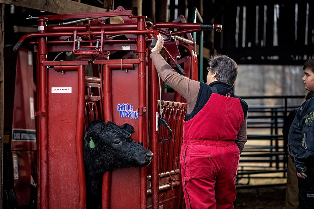 CattleMaster Series 6 — Tarter Farm and Ranch Equipment | American Made